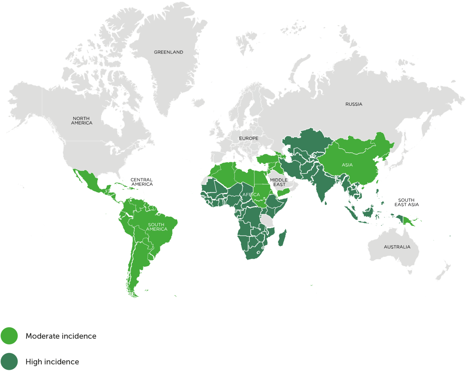 Map displaying the burden of typhoid fever in low-income and middle-income countries